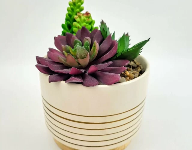 Suculentas artificiais: como usar essas plantas artificiais na decoração da sua casa