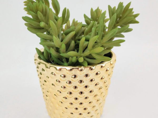 Cachepot: ideias para decorar sua varanda ou jardim usando esse tipo de vaso