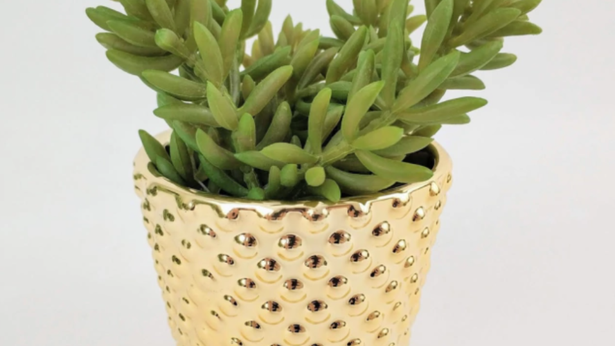 Cachepot: ideias para decorar sua varanda ou jardim usando esse tipo de vaso