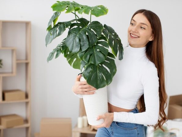 Plantas artificiais: dicas para cuidar e conservar suas plantas por anos
