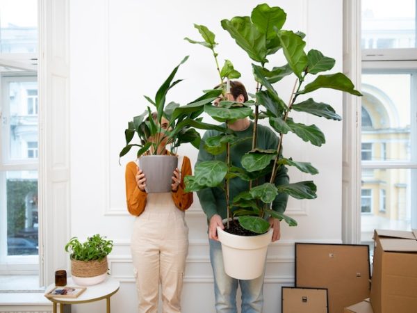 Planta artificial pendente: como escolher a altura e o tamanho ideal para cada espaço da sua casa
